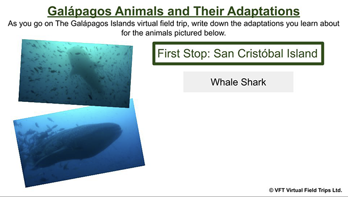 Galapagos Animals and Their Adaptations_400px