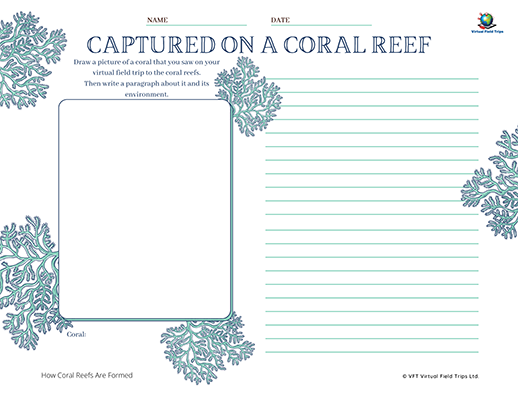 Captured on a Coral Reef - Landscape_400px